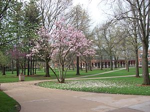 English: photo of Truman State University quad...